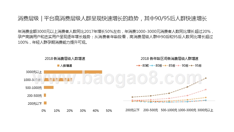 2019孕产行业消费趋势洞察报告.pptx_第4页