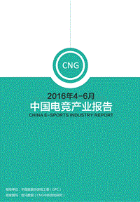 2016年4-6月中国电竞产业报告.pdf