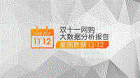 双十一网购大数据分析报告.pdf