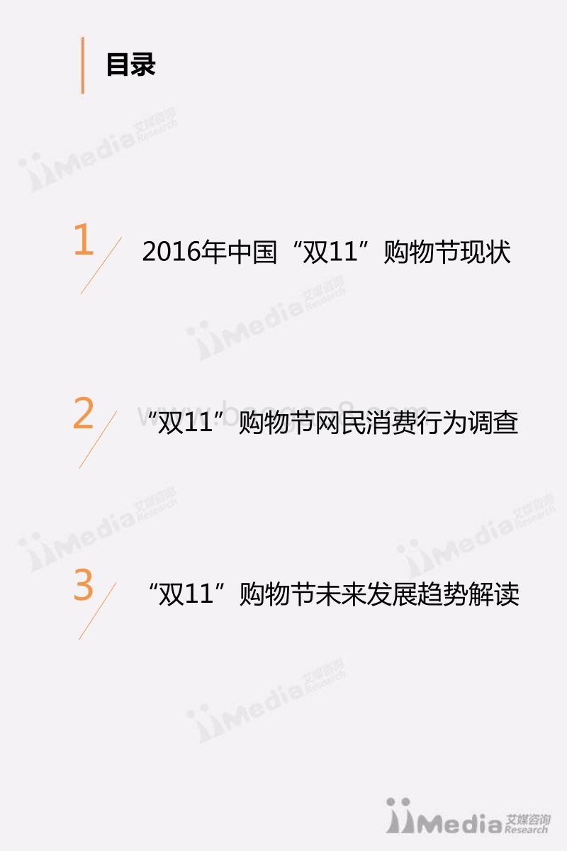 2016年中国网民“双11”消费行为研究报告.pdf_第3页