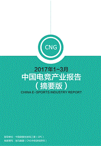 2017年1-3月中国电竞产业报告.pdf