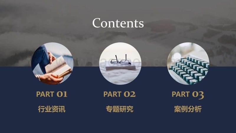 特色小镇观察4月刊.pdf_第3页