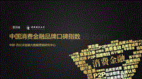 中国消费金融品牌口碑指数.pdf