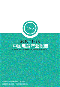 2016年1-3月中国电竞产业报告.pdf