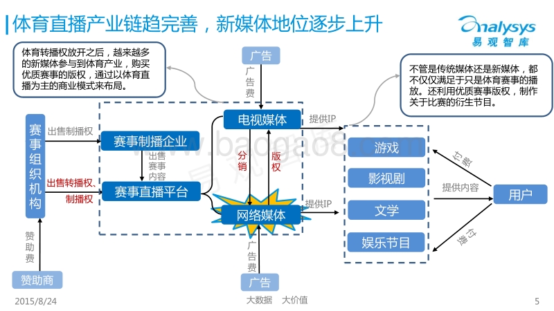 2015中国体育直播市场专题研究报告.pdf_第5页