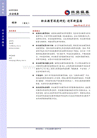 职业教育深度研究：进军新蓝海.pdf