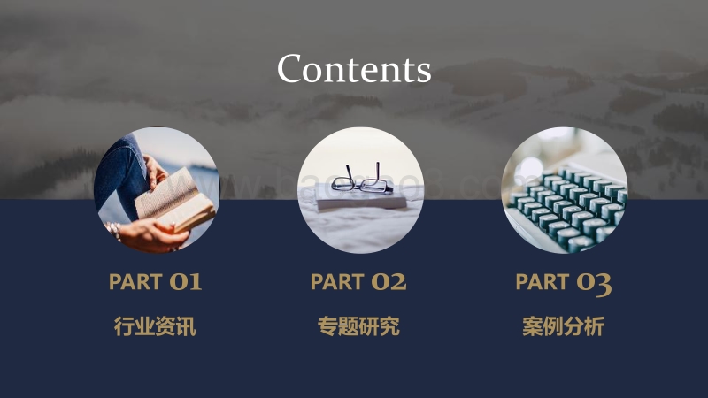 特色小镇观察5月刊.pdf_第3页