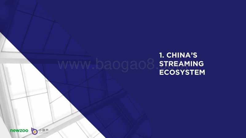 中国流媒体市场及其与西方的区别（英文版）.pdf_第4页