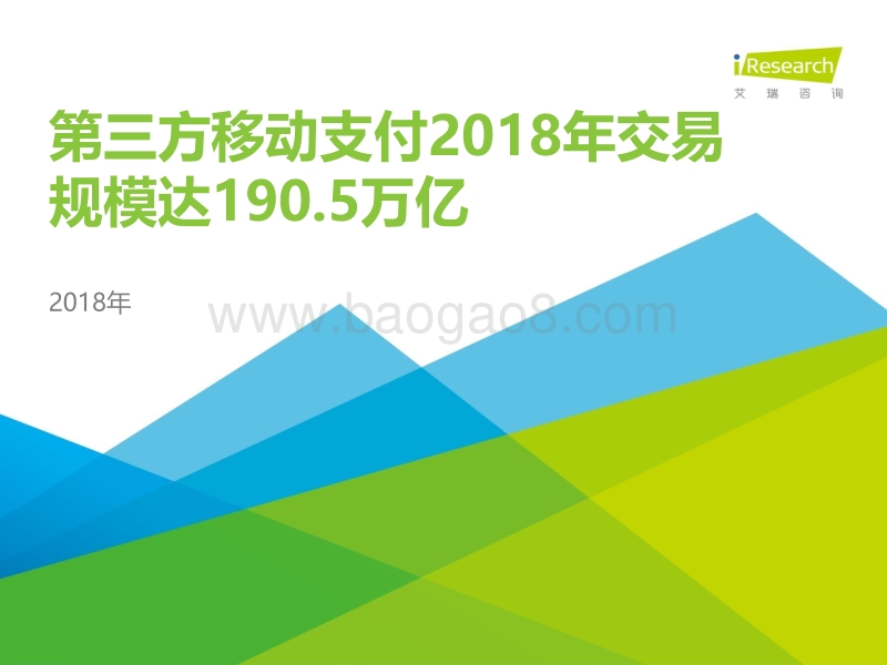2018中国第三方支付年度数据发布.pdf_第1页