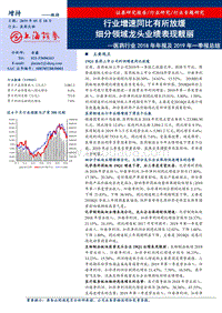 医药行业2018年年报及2019年一季报总结.pdf
