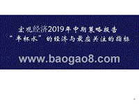 宏观经济2019年中期策略报告.pptx