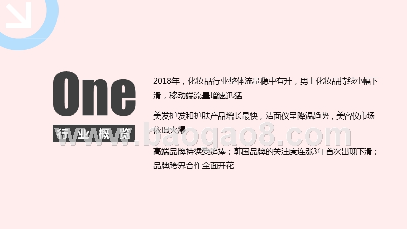 2018-2019化妆品行业研究报告.pptx_第3页