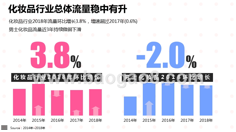 2018-2019化妆品行业研究报告.pptx_第4页