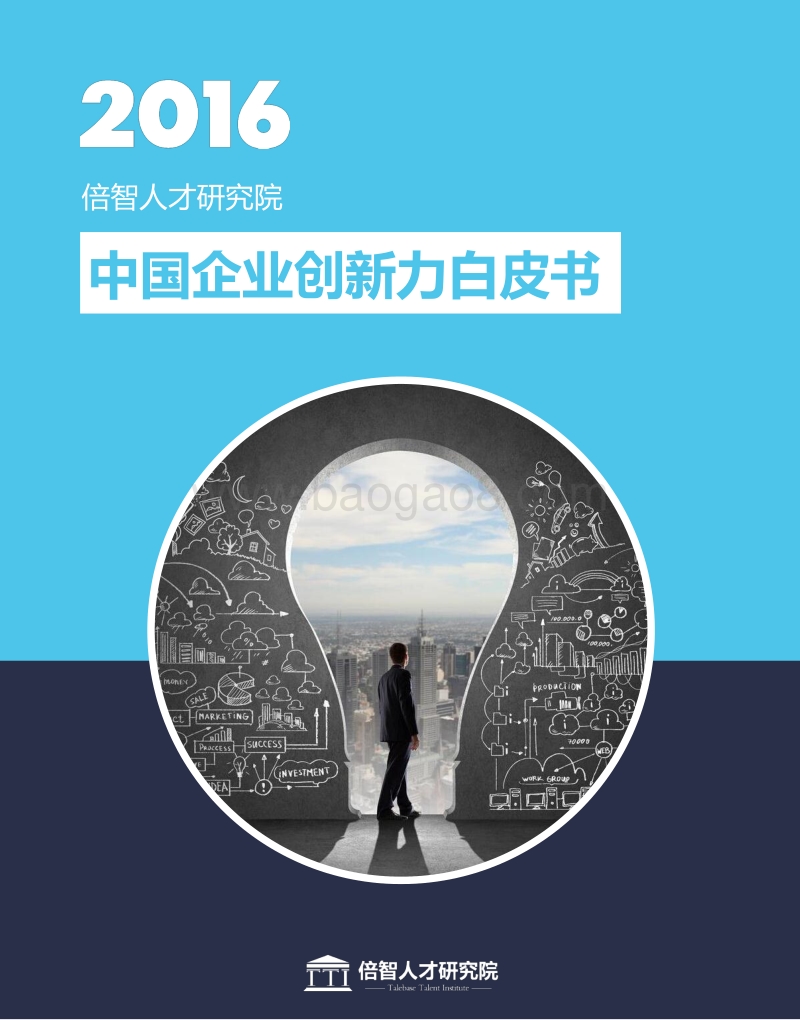 2016中国企业创新力白皮书.pdf_第1页