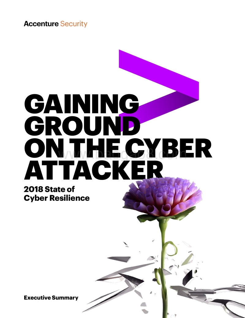 2018年网络防卫报告.pdf_第1页