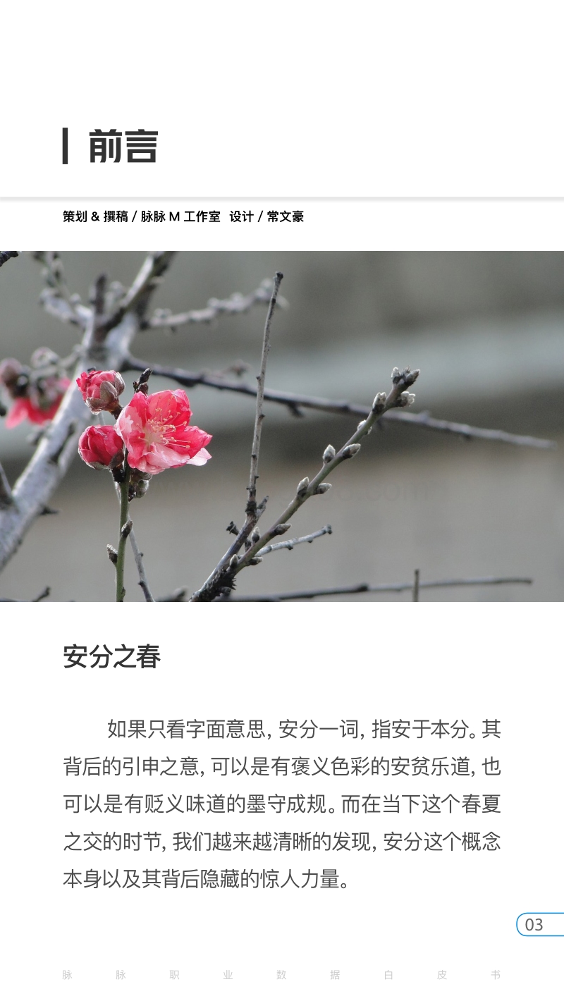 脉脉安分之春白皮书.pdf_第3页