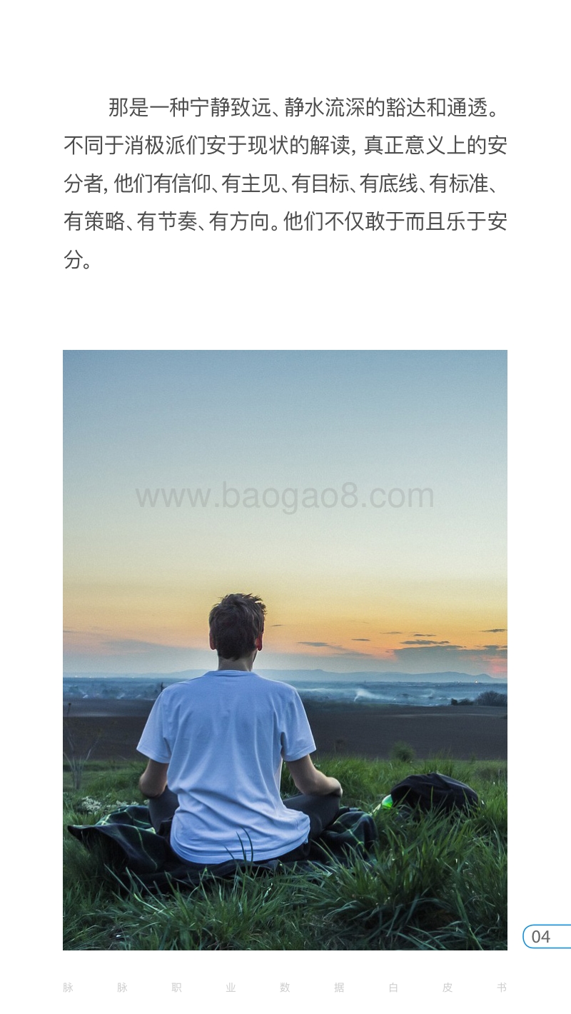 脉脉安分之春白皮书.pdf_第4页