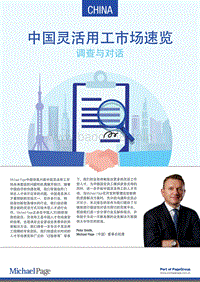 中国灵活用工市场速览.pdf
