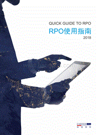 2018招聘流程外包RPO使用手册.pdf