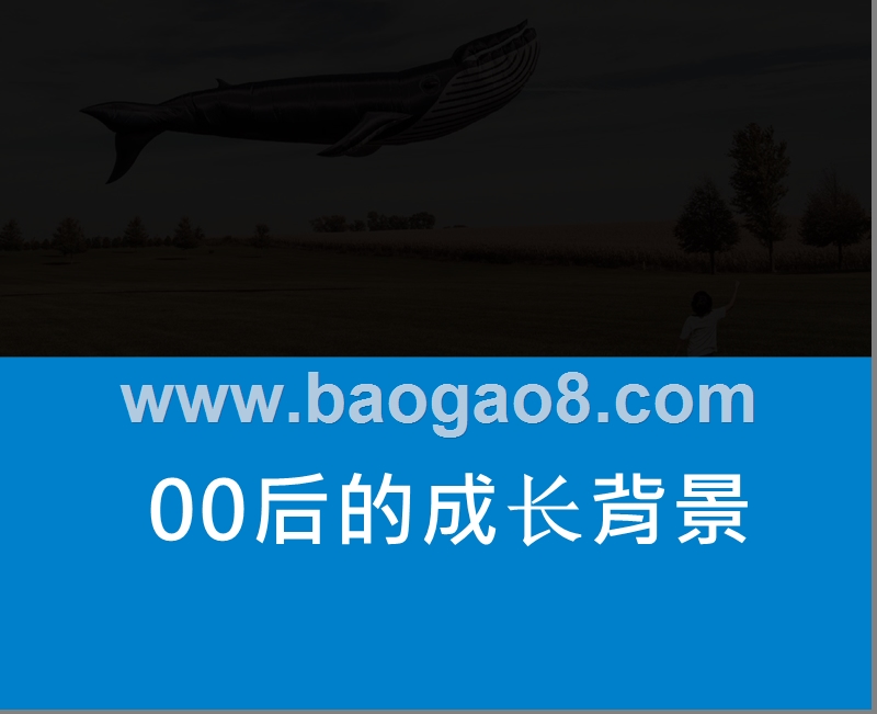 2019年00后来人群研究报告.pptx_第5页