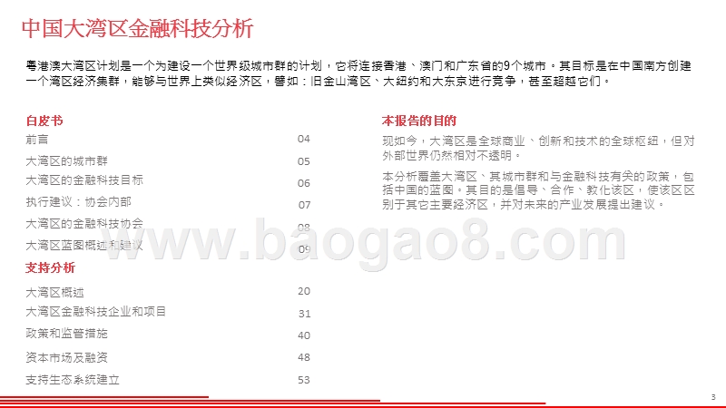 2019年粤港澳大湾区金融科技分析与建议报告.pptx_第3页