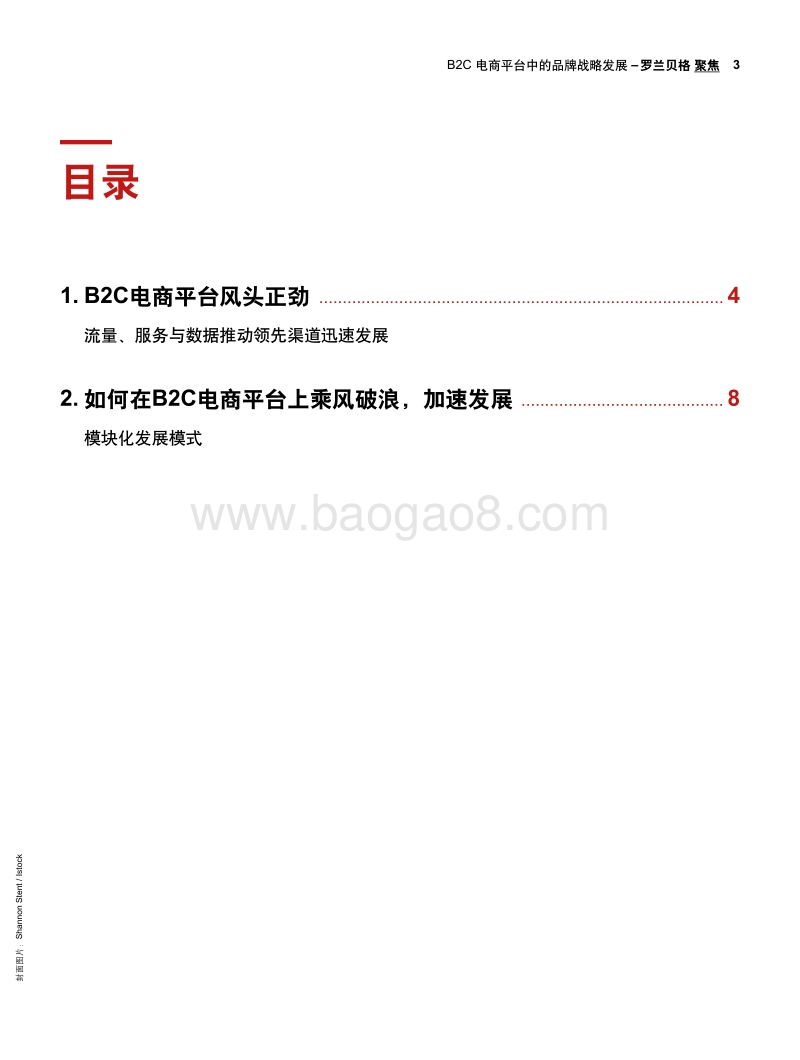 B2C电商平台中的品牌战略发展.pdf_第3页