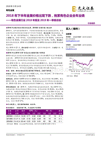 有色金属行业2018年报及2019年一季报总结.pdf