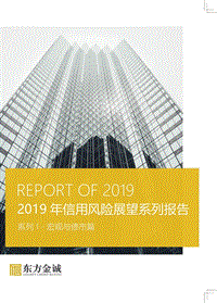 2019年信用风险展望系列报告系列4：宏观与债市篇.pdf