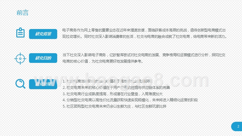 2019中国社交电商生态解读研究报告.pptx_第2页