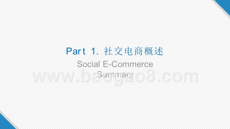 2019中国社交电商生态解读研究报告.pptx_第4页