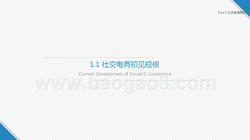 2019中国社交电商生态解读研究报告.pptx_第5页