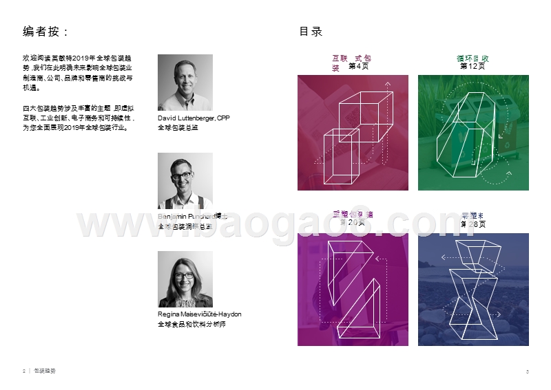 2019及未来全球包装行业流行趋势分析报告.pptx_第2页