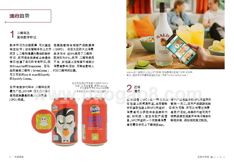 2019及未来全球包装行业流行趋势分析报告.pptx_第5页