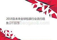 2019及未来全球包装行业流行趋势分析报告.pptx