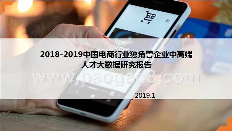 2018-2019中国电商行业独角兽企业中高端人才大数据研究报告.pptx_第1页