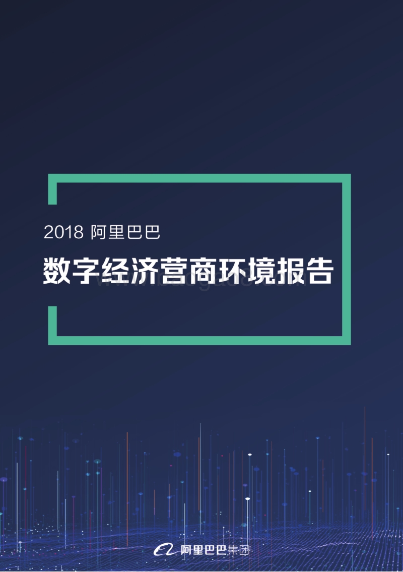 阿里巴巴数字经济营商环境报告.pdf_第1页