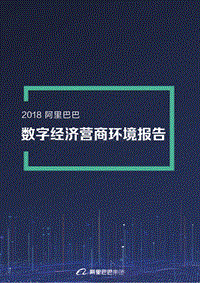 阿里巴巴数字经济营商环境报告.pdf