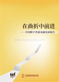 在曲折中前进——中国数字普惠金融发展报告.pdf