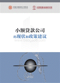 小额贷款公司的现状和政策建议.pdf