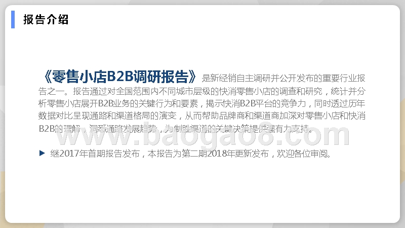 2018-2019年快消零售小店B2B竞争力研究报告.pptx_第2页