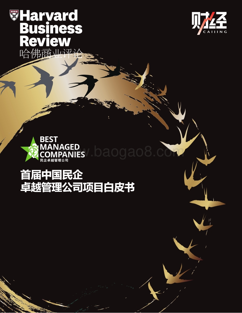 首届中国民企卓越管理公司项目白皮书.pdf_第1页