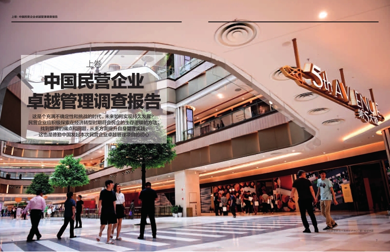 首届中国民企卓越管理公司项目白皮书.pdf_第5页