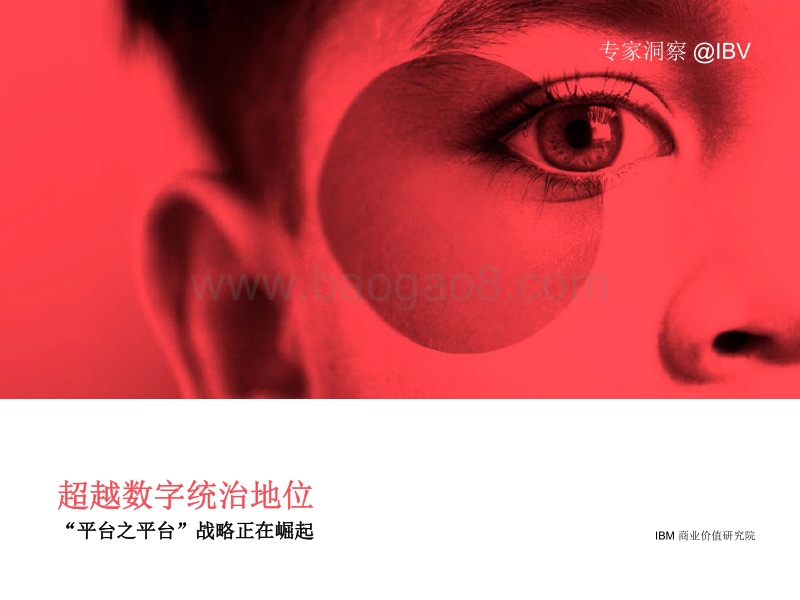 超越数字统治地位：“平台之平台”战略正在崛起.pdf_第1页
