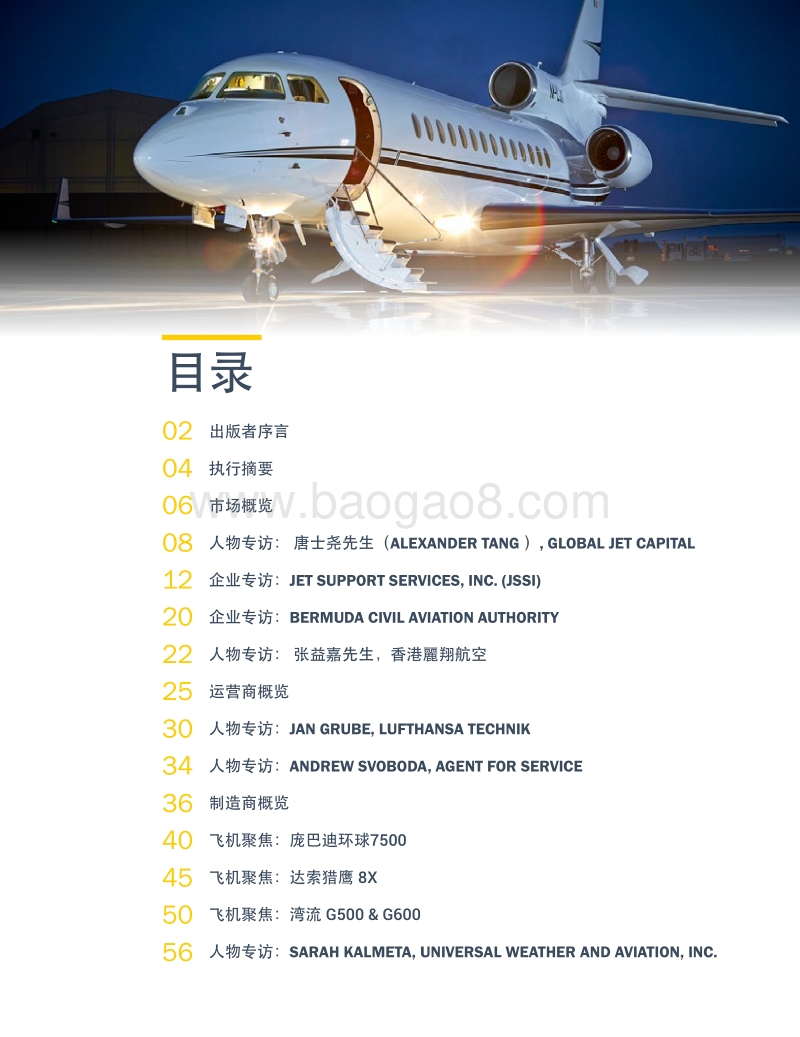 2018年度亚太地区公务机机队报告.pdf_第3页