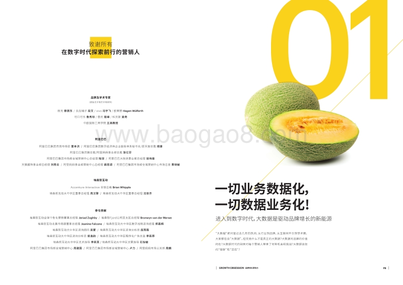品牌增长源动力.pdf_第5页