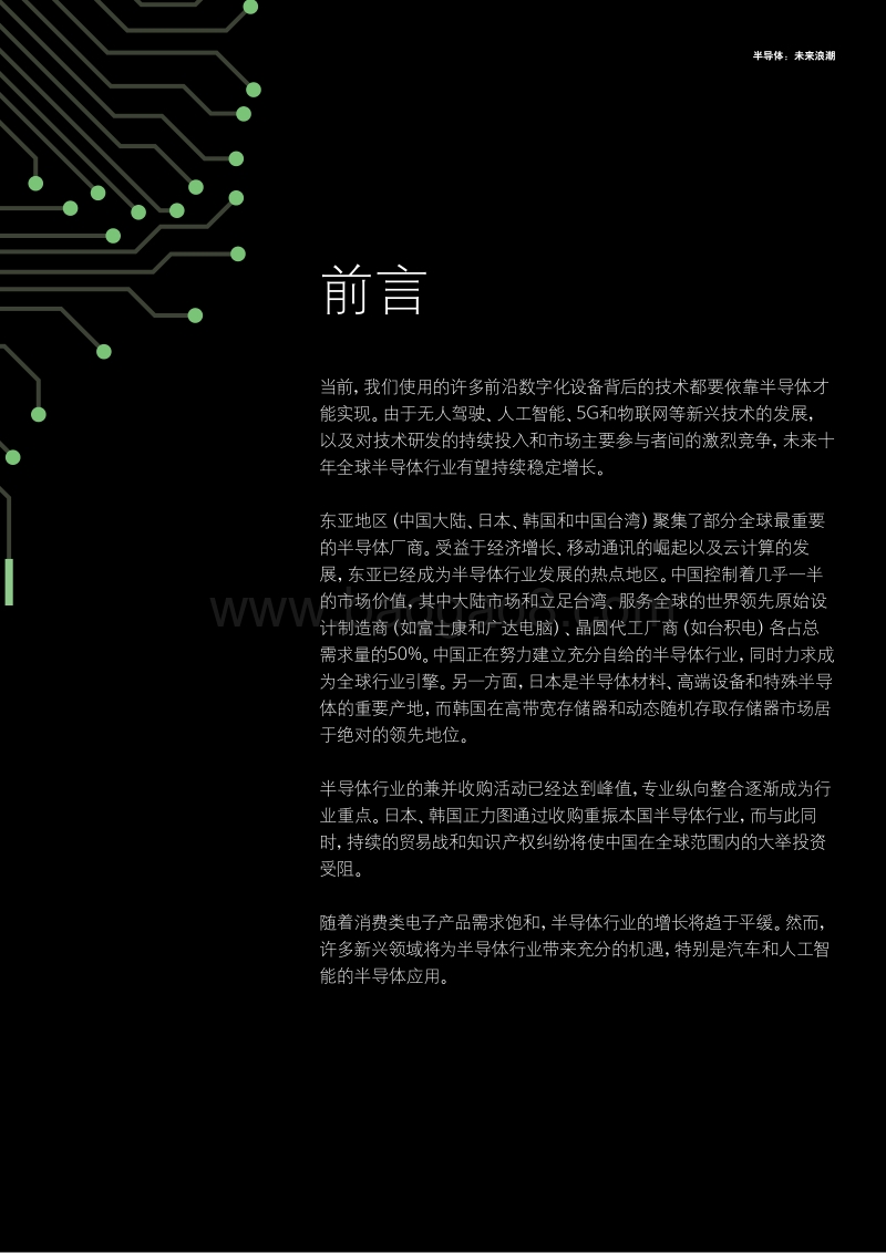 半导体：未来浪潮.pdf_第3页
