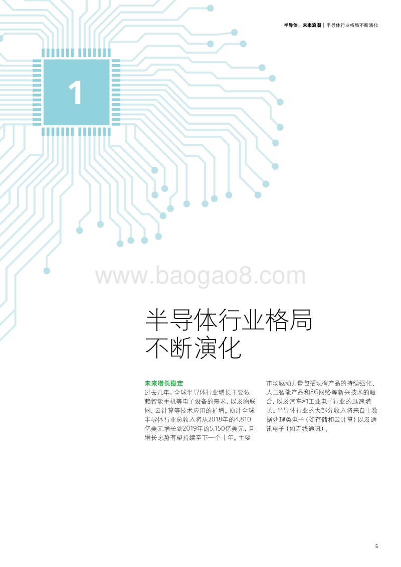 半导体：未来浪潮.pdf_第5页