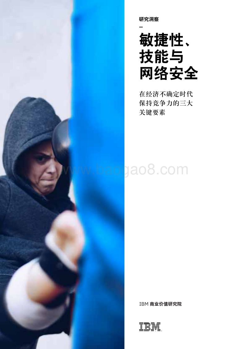 敏捷性、技能与网络安全.pdf_第1页