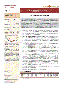 光伏系列报告之（二十二）：硅料产能释放导致短期价格调整.pdf