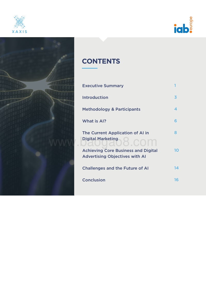 人工智能：网络广告世界的神话与现实.pdf_第3页